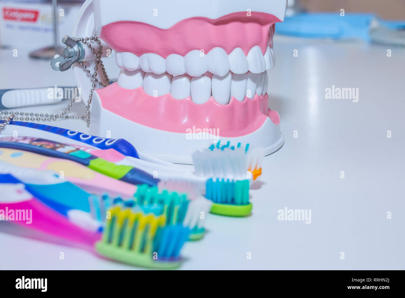 Dental model with toothbrush.whitening. tooth care. teeth healthy