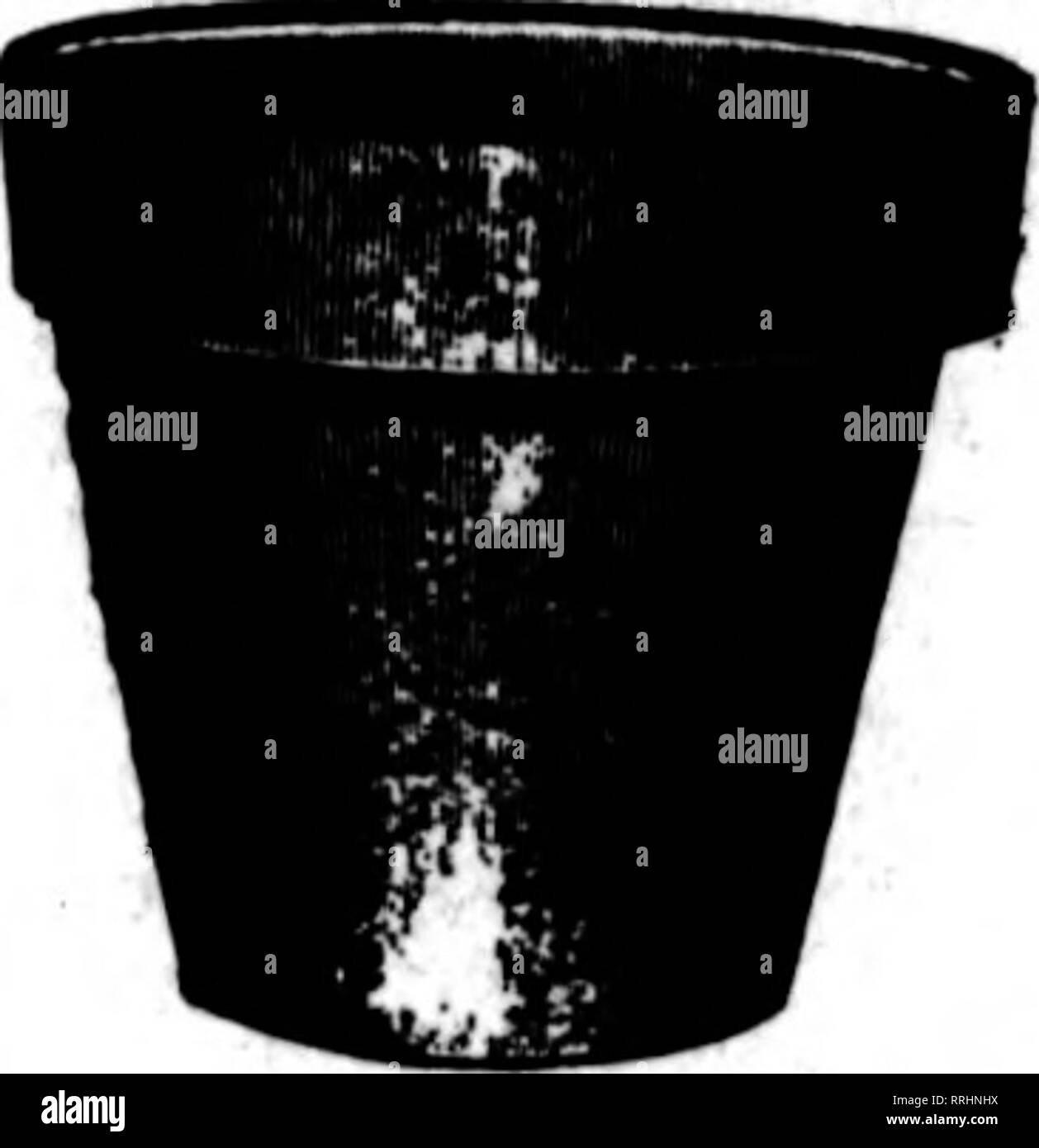 Gruss france hires stock photography and images Alamy