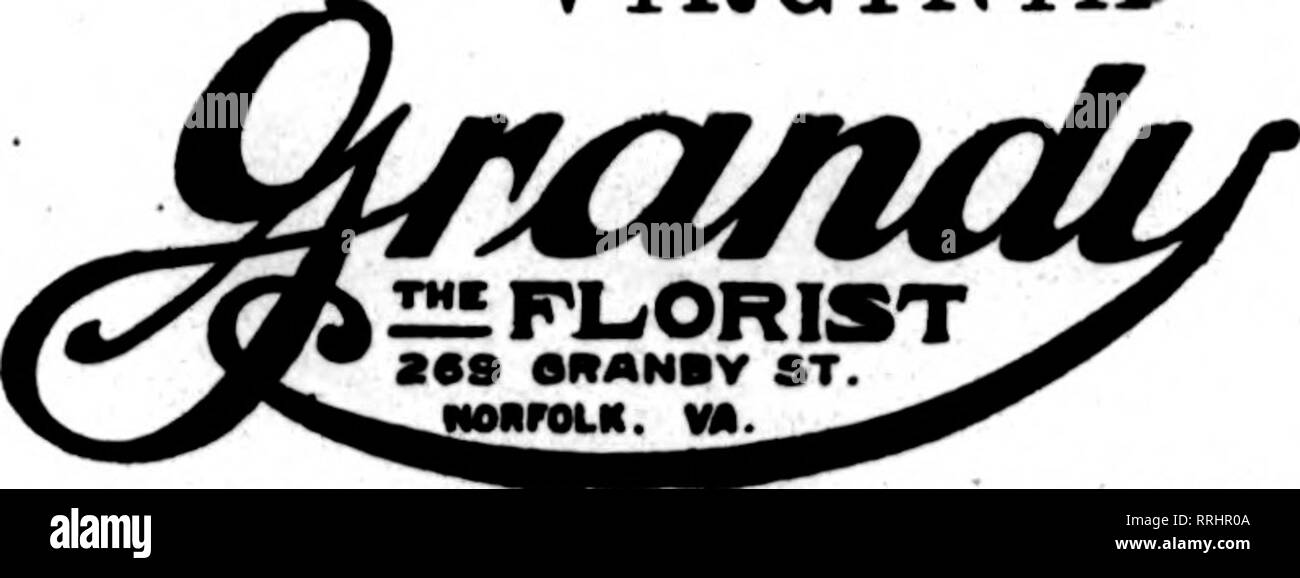 . Florists' review [microform]. Floriculture. OUR FACILITIES are unexcelled in this section of the country. 115 E. Main St, Member Florists'Telegraph Delivery Ass'n. NORFOLK PROMPT SERVICE FIRST-CLASS STOCK • VIRGINIA.. NORFOLK'S TELEGRAPH FLORIST, Fortress Monroe, Va. Soeci&amp;l messenger service to above city, $1.00 Member Florists' Telegraph Delivery Association. UNIONTOWN, PA. &quot;The Leading FlorisU&quot; STENSON &amp; McGRAIL, 1* 11 Morgantown Street FRESH HOME-GROWN CUT FLOWERS AND PLANTS at all times GILES, The Florist READING, PENNA. Member F. T. D. J. V. LAYER ERIE, PA. Write, Pho Stock Photo