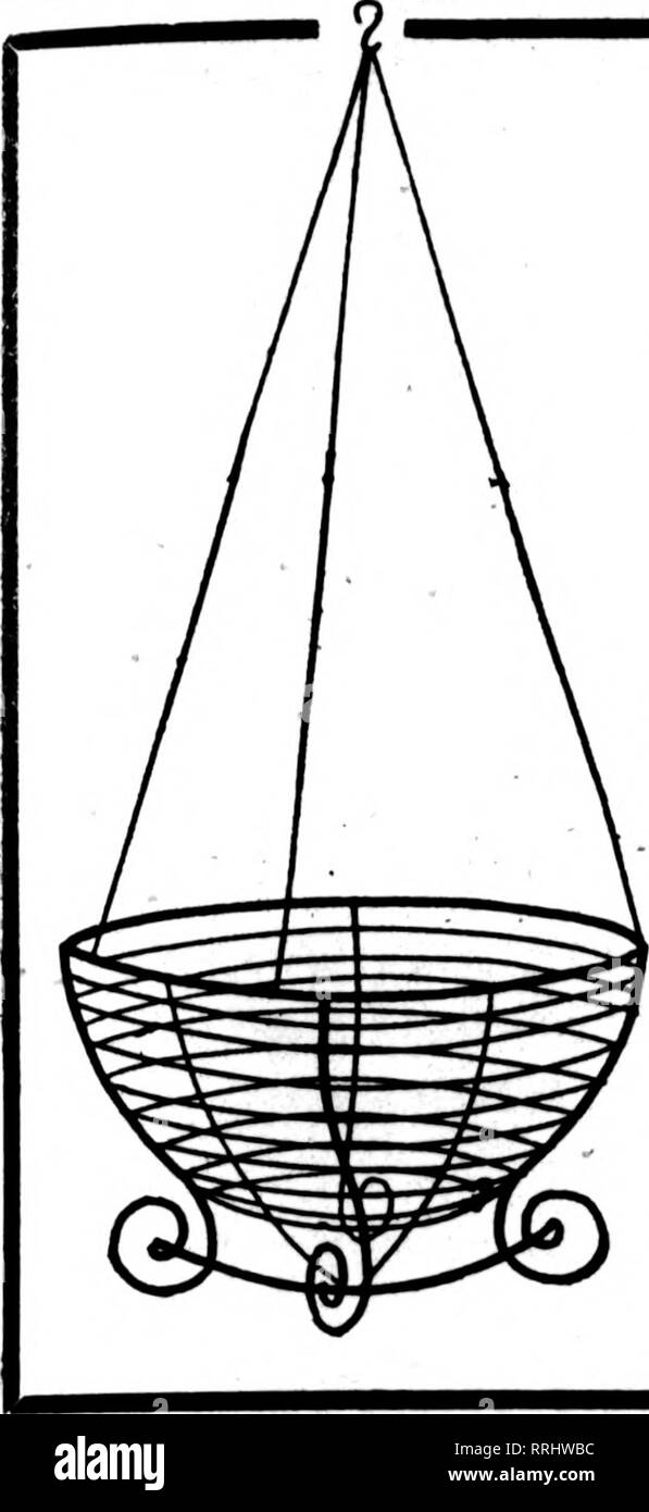 . Florists' review [microform]. Floriculture. APRIL 15. 1920 The Florists^ Review 51 Wire Hanging Baskets The well-made kind. Painted, bound with galvanized wire. 6 AT DOZEN RATE. 60 AT 100 RATE. 8-inch Per doz. $2.50 Per 100 $18.00 20.00 25.00 27.50 36.00 60.00 lO-inch 3.00 12-inch 3.50 14-inch 4.00 16-inch 5.00 18-iucfa 7.50 GREEN SHEET MOSS Long, green sheets for hanging baskets per bag, $1.75; 10 bags, $16.00 C. E. CRITCHELL, &quot;SYSgli?*-^&quot; Cmcinnati, Ohio 15 EAST THIRD STREET. Please note that these images are extracted from scanned page images that may have been digitally enhance Stock Photo