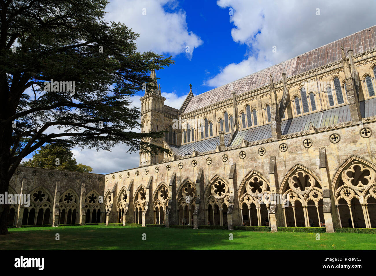 Salisbury Cathedral, Wiltshire, England, United Kingdom, Europe Stock Photo