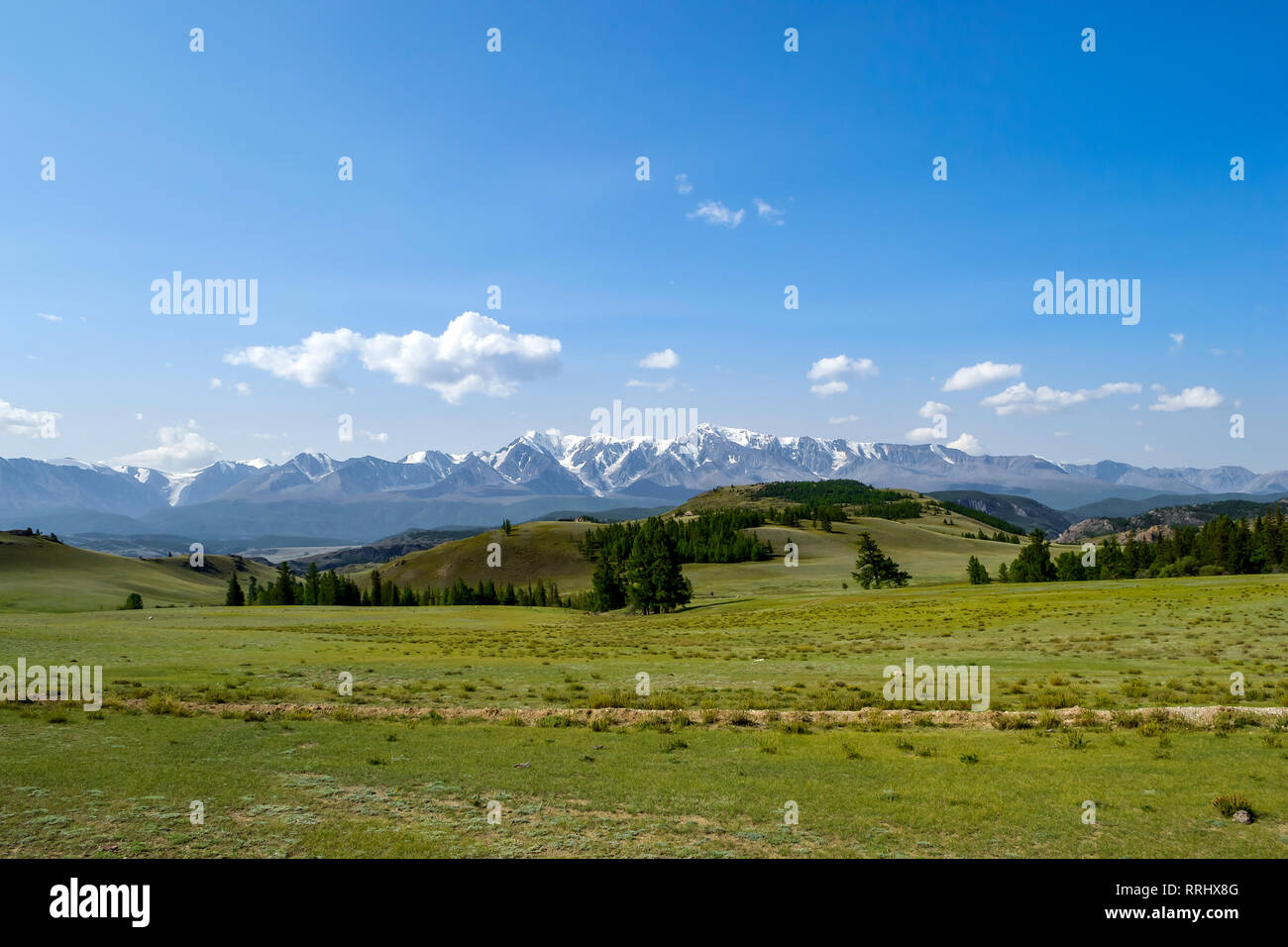 A meadow with lush green grass and coniferous trees stretching in front of the stone ridge of snow-capped peaks, a mountain range in a blue haze and w Stock Photo