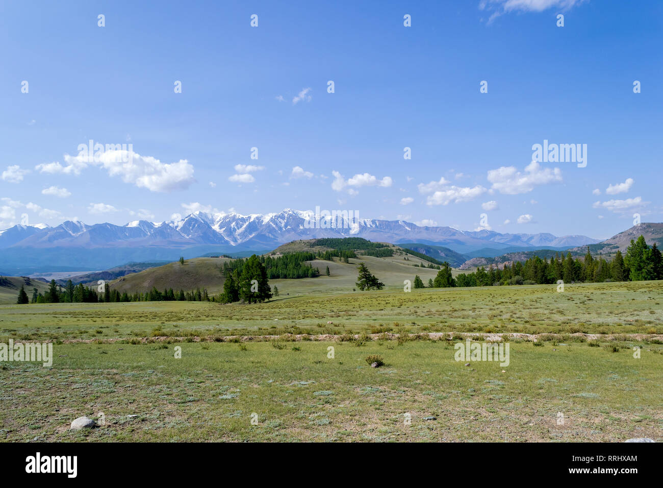 A meadow with lush green grass and coniferous trees stretching in front of the stone ridge of snow-capped peaks, a mountain range in a blue haze and w Stock Photo