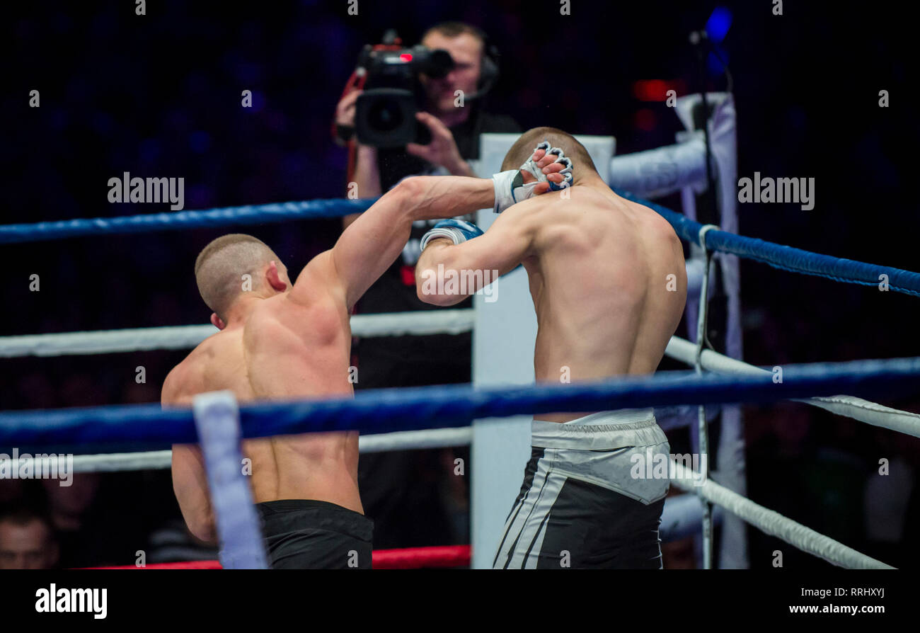battle MMA fighters kick hand to head Stock Photo Alamy