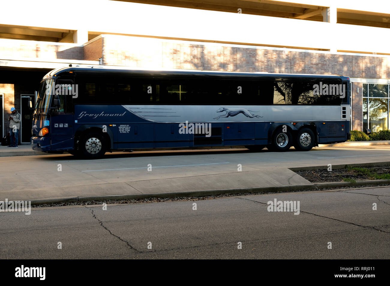 Greyhound Bus Number