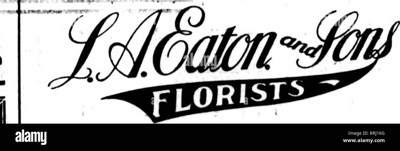 . Florists' review [microform]. Floriculture. on fh* PMr*a cwrrjbkm this florists for local dOUTonr oa ttM CINCINNATI 532-534 Race St. E. G. HILL FLORAL CO. Good Stock and Good 8«r«H«»« Member F. T. D. Phonss Main 1874-1875 EDWARD A. roRTER,Floiist Successor to A. Sunderbmch's Sons 128 W. Fourth St., Cincinnati, O. SCHRAMM BROS. 1 Send us your orders for TOLEDO, OHIO 1307-15 CHERRY STREET Members Plorista* Telegraph Delivery MKMBKRS FLORISTS' TELESIIAPH DKLIYERV TOLEDO, OHIO METZ &amp; BATEMAN 414 Madison Avenue OHIO BUILDING DAYTON, OHIO 16 and 18 W. 3rd St. Matthews the Florist Established i Stock Photo