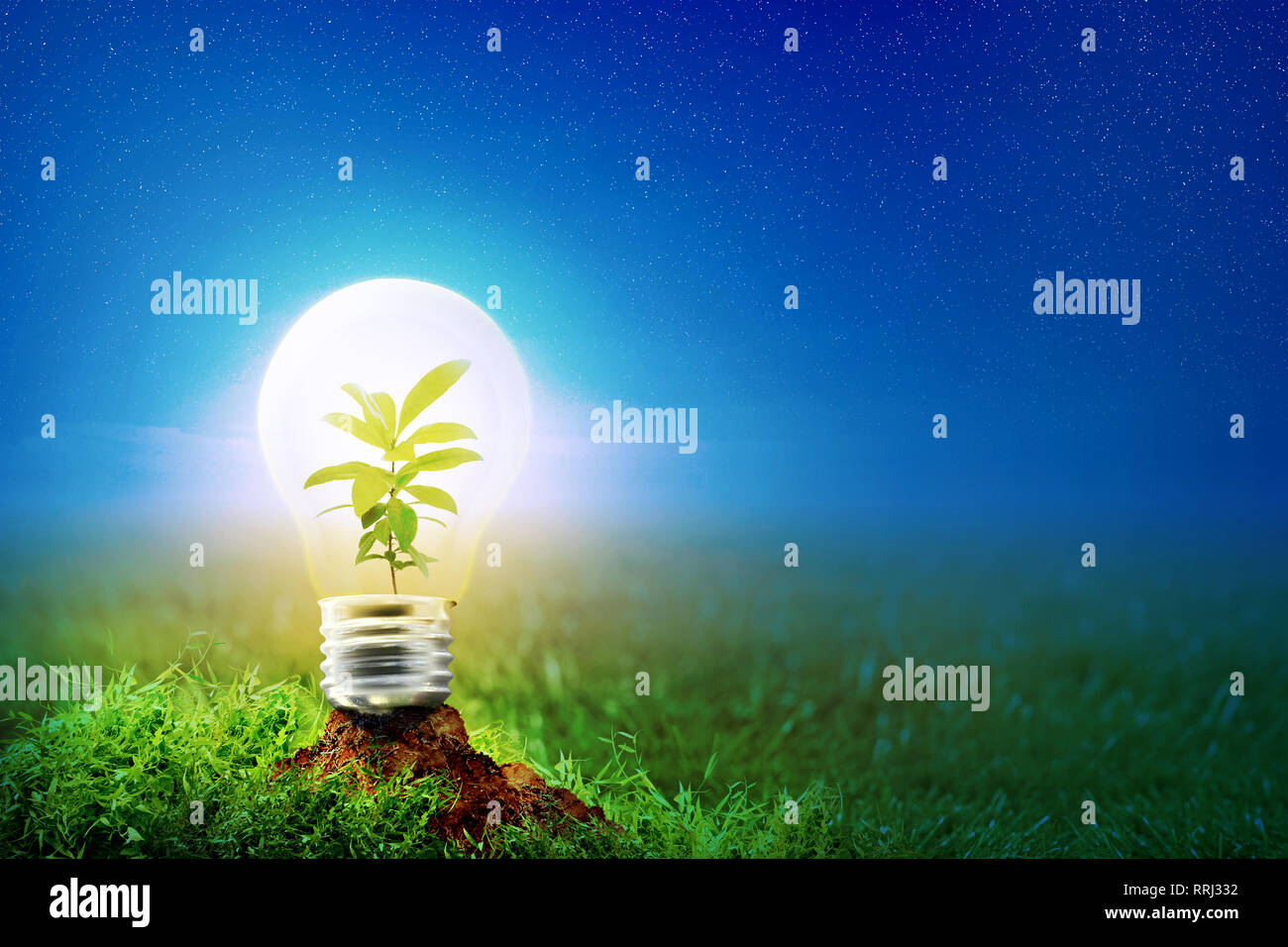 Young plant inside glowing light bulb on fertise soil in meadow at night with star on the sky background. Earth hour concept Stock Photo