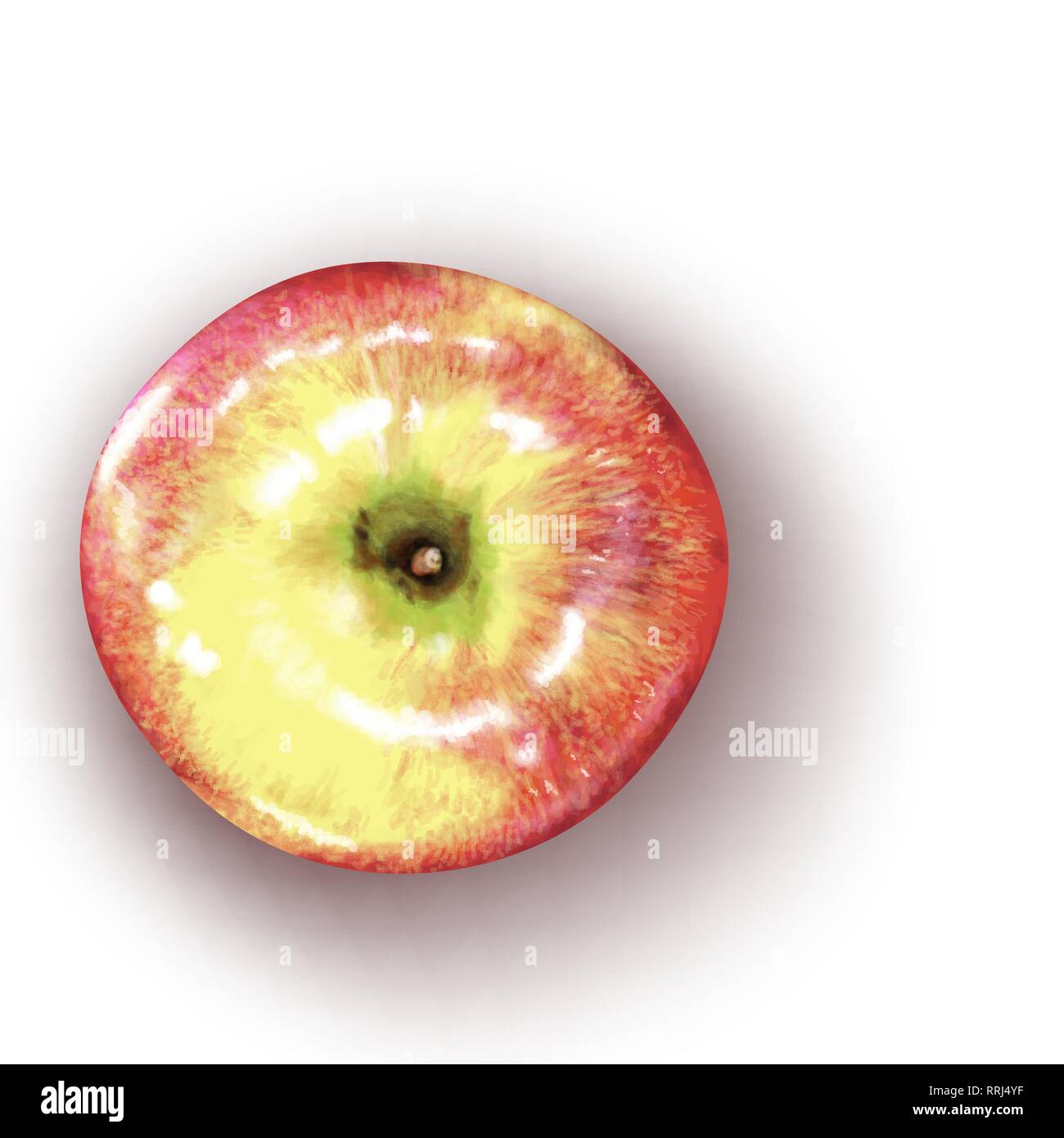 Vector illustration of realistic red apple Stock Vector