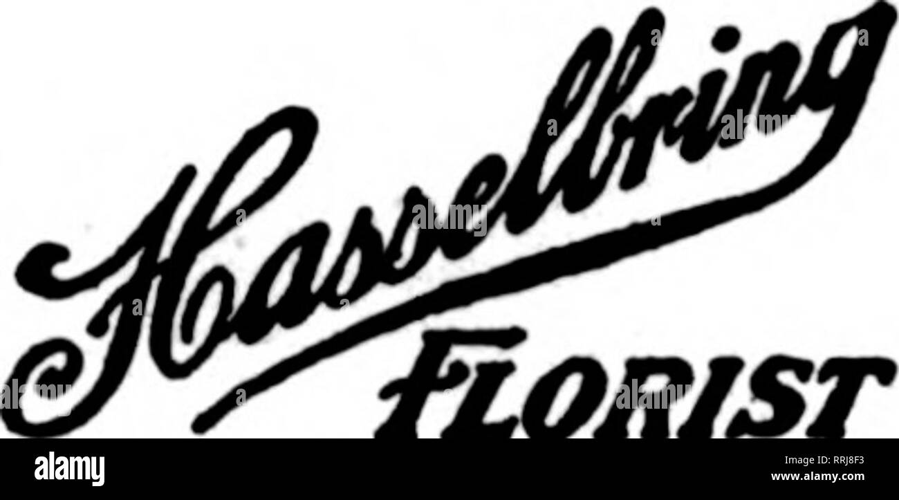 . Florists' review [microform]. Floriculture. MICHIGAN ORDERS WILL BE CAREFULLY CARED FOR BY HENRY SMITH GRAND RAPIDS WHOLESALE AND RETAIL FLORIST. Member F. T. D. 200.000 FEET OF GLASS DEVOTED TO FLOWERS AND PLANTS. GRAND RAPIDS ARTHUR F. CRABB F.T.D. Member. 13 Jefferson Ave., S. Serving all West Michigan Towns FLINT, MICH. MEMBER F. T. D.. HORtST DETROIT, MICH. Peter F. Reuss &amp; Co., 56 BROADWAY MT. PLEASANT, MICH. g-^T.^B^ Walter W. Caple jMIDL AND, MICH. [ PERCIVAL F. PENFOLD Saginaw, Michigan GROHMAN THE FLORIST Member F. T. D. Aaa'n. 117 NORTH FBANKLIN ST. J. B. GOETZ SONS SAGINAW, M Stock Photo