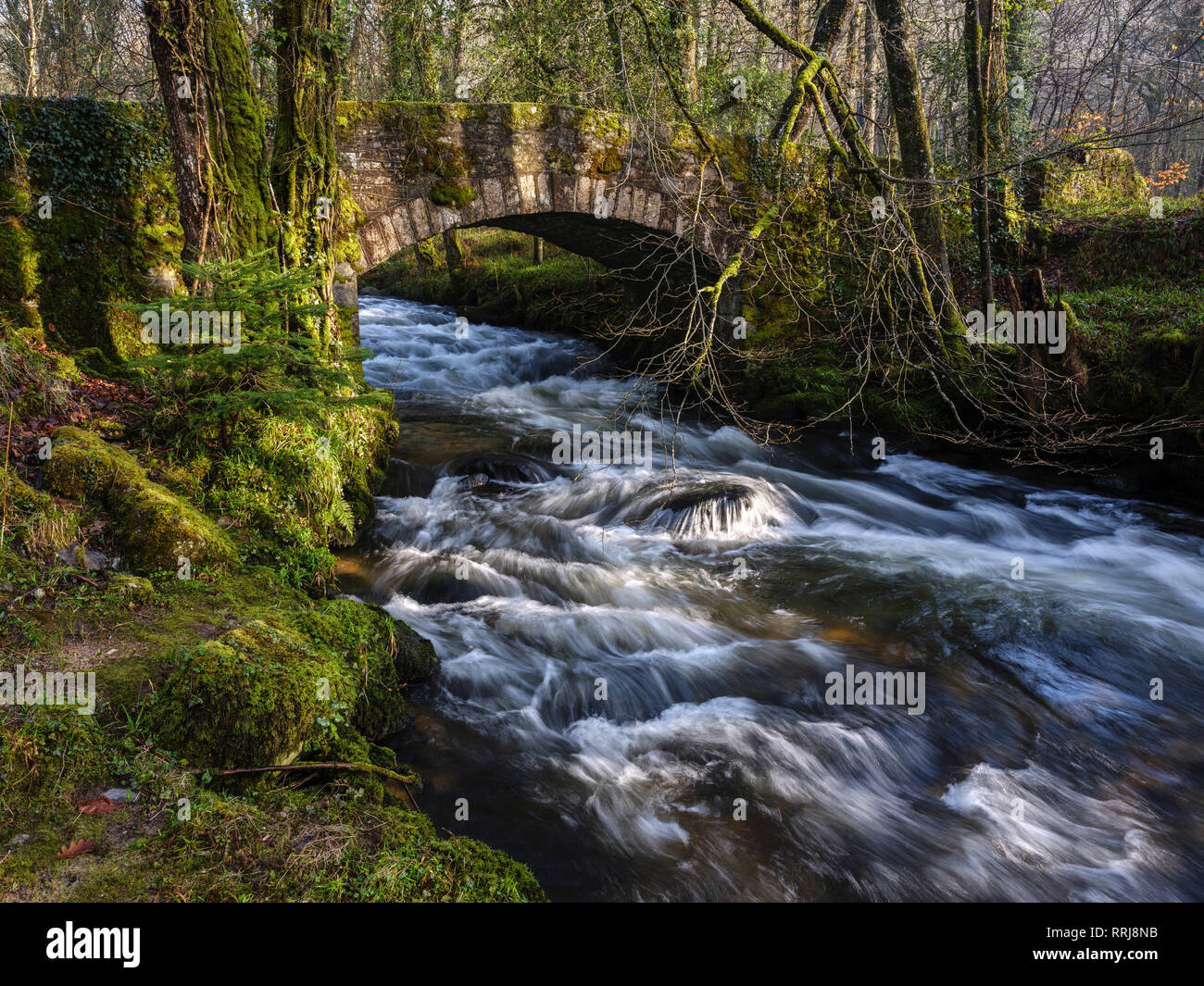 Water flows under Buckland Bridge as it joins the River Dart near