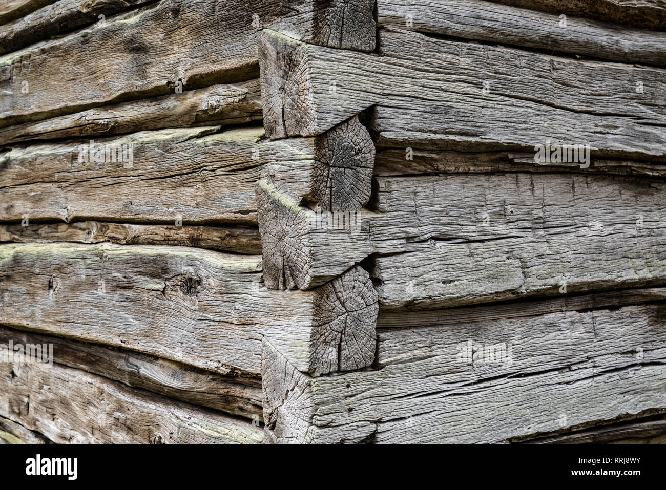 Corner Dovetail Detail On An Old Weathered Log Cabin Stock Photo