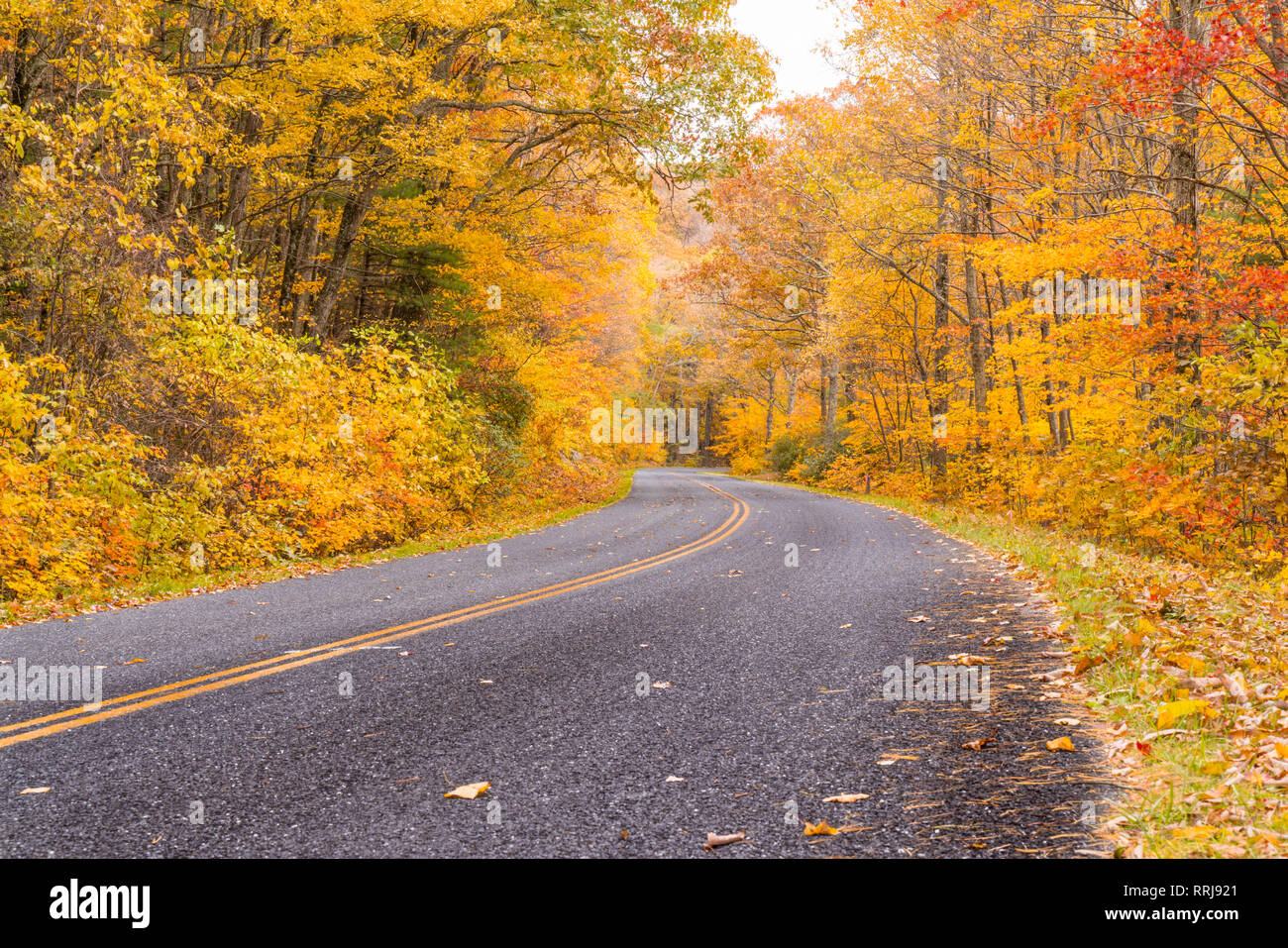 Fall foliage in Shenandoah National Park along the Blue Ridge Parkway Stock Photo