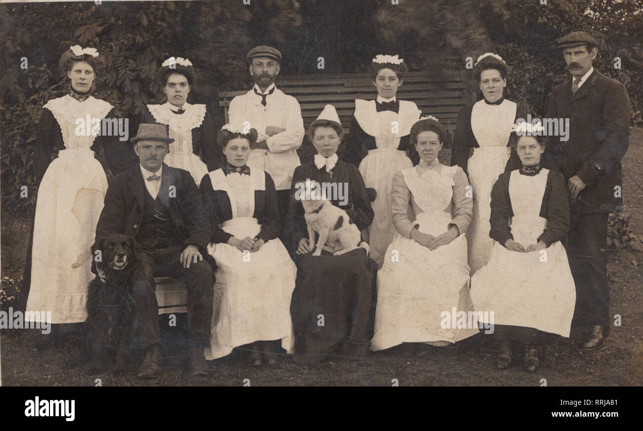 Vintage Edwardian Photographic Postcard Showing a Group of Domestic Servants and a Pet Dog. Stock Photo