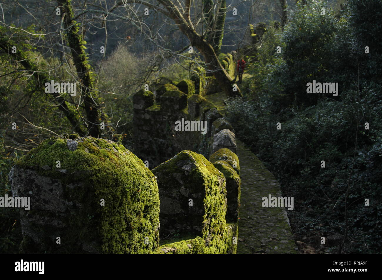 Moss covered wall in the lower reaches of the Castle of the Moors, Sintra, Portugal Stock Photo