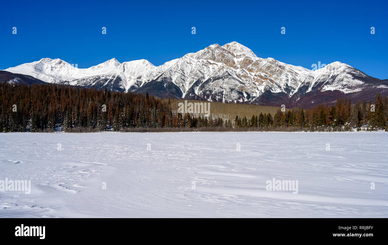 Pyramid mountain jasper national park winter hi-res stock photography ...
