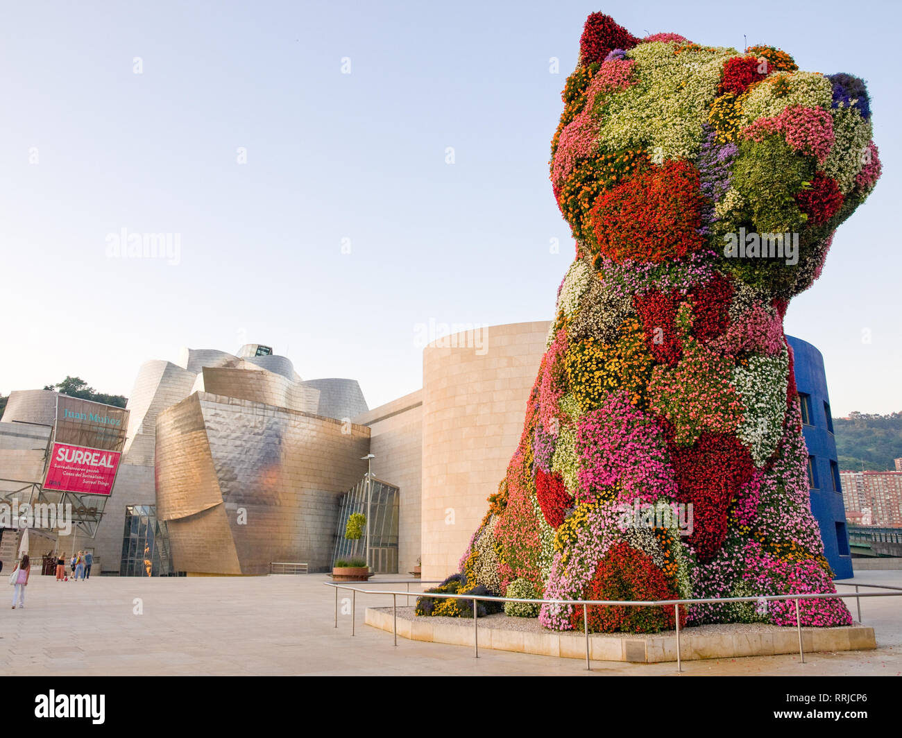 Puppy, a floral topiary sculpture by Jeff Koons, stands guard in front of  the Guggenheim Museum Bilbao in Bilbao, Spain Stock Photo - Alamy