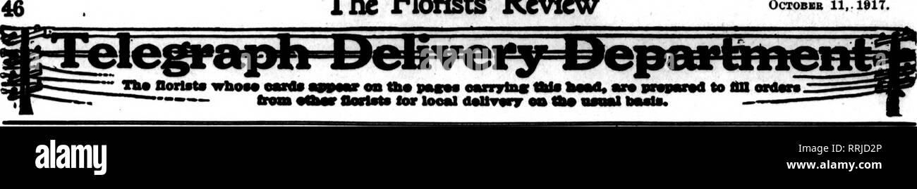 . Florists' review [microform]. Floriculture. The Florists' Review OCTOBBB 11,. 1817.. CINCINNATI 532-534 Race St. E. G. HILL FLORAL CO. Crood Stock and Good SnrrrlnA Member F. T. D. Phonss Main 1874-1876 EDWARD A. FORTER, Horist SocccsMMT to A. Sunderbruch's Son* 128 W. Fourth St., Cincinnati, O. I SCHRAMM BROS. Send us your orders for TOLEDO, OHIO 1307-15 CHERRY STREET Members Florists' Telegraph Delivery FLORISTS' TELEttRAPH DELIVERY TOLEDO, OHIO METZ &amp; BATEBIAN 414 Madison Avenue OHIO BUILDING DAYTON, OHIO 16 and 18 W. 3rd St. Matthews the Florist Established in 1883. Greenhouses and N Stock Photo