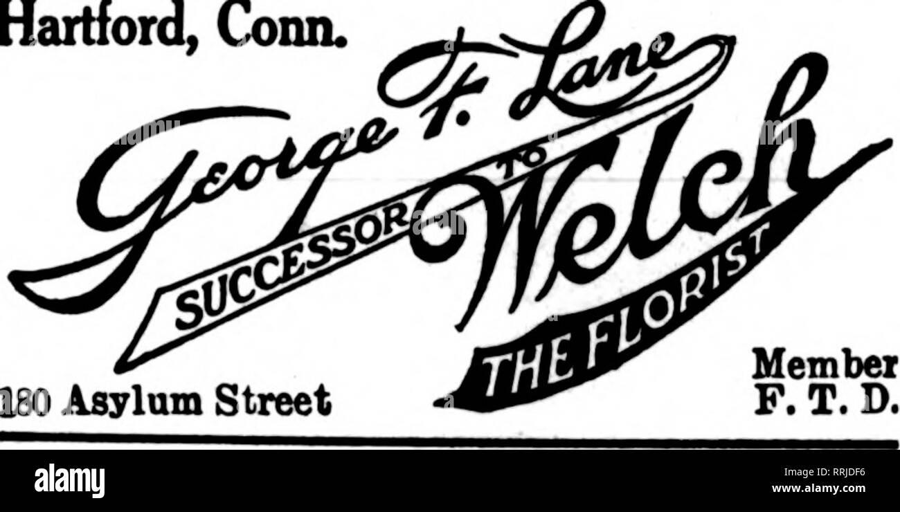 . Florists' review [microform]. Floriculture. Hartford, Conn. GEORGE G. McCLUNIE 165 Main Street Established 1897 Member F. T. D. Hartford, Conn.. Hartford, Conn. 639 Main Street J. Albert Brodrib, l^tai Deliveries to New Britain, Meriden, Middletown, Manchester, Rockville, Farminston, Willimantic. Member Florists' Telegraph Delivery Association Waterbury, Conn. RYAN &amp; POWERS 30 Center St. Siwdal attention Westover and St. Manraret School Orders. Members F. T. D. and Rotary Florist. STAMFORD, CONN. QUALITY FLOWER SHOP Member P. T. D. 43 ATLANTIC ST. Prompt delivery to N(WOTON,D/UUBI,NORWAU Stock Photo