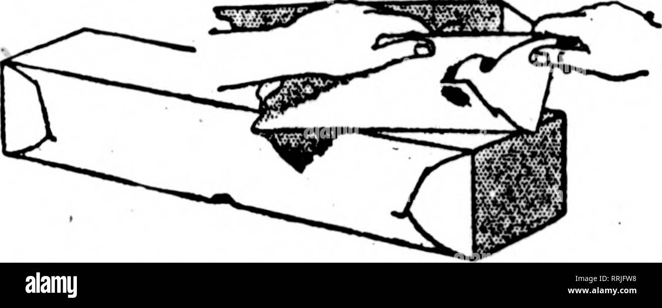 Florists Review Microform Floriculture Iwf Tr Quot 7 7 Quot T V R T P W Rirwryk T 7 Jf V V Rj P T P Y 7 Gt I Yytt Quot 77 T Quot 7 Gt Quot W Quot V Trn Gt J Quot