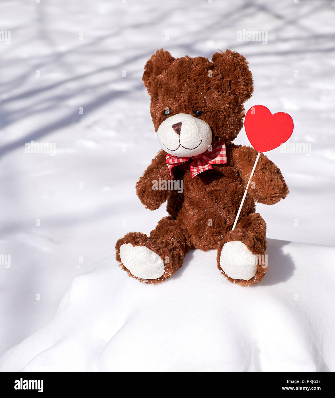 brown teddy bear sits on a snowdrift of snow Stock Photo - Alamy