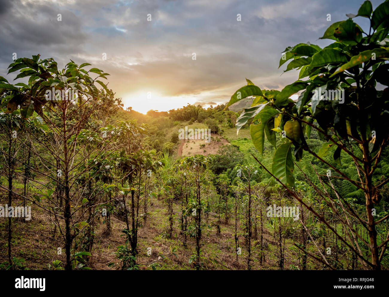 huila-hi-res-stock-photography-and-images-alamy