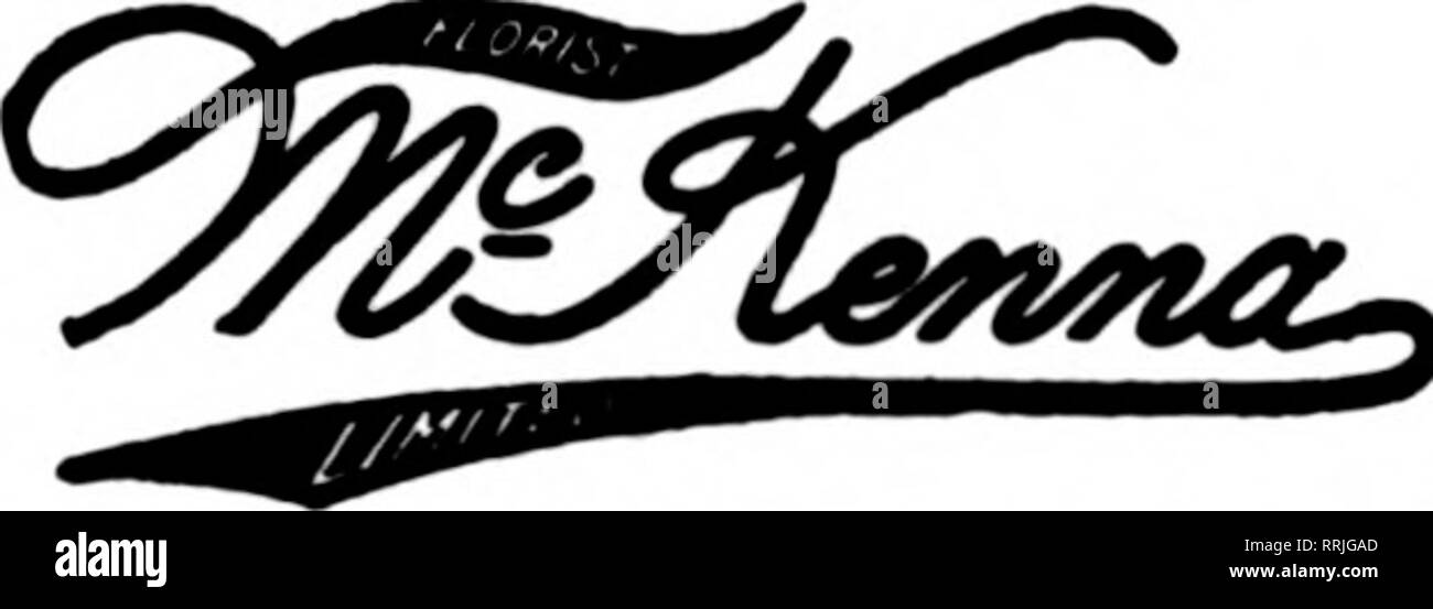 . Florists' review [microform]. Floriculture. WELLESLEY COLLEGE Dana Hall, Walnnt Hill, Boekbridge Hall Sehools TAILBT, Wellesley, Mass. Long Distance Tel., WeUeeley 44-1,44-2,44-3. MALDEN, MASS. J. WALSH &amp; SON Member Florists' Telegraph Delivery Ass'n. F. T. D. M HARRY T. E A FLORIST MANCHESTER. N. H. D. D F. T. HALL &amp; ROBINSON MONTREAL'S f LORiSTS 825 SL Catherine SL, w..Nontreal,Que. BOSTON, MASS. HENRY R. COMLKY, Florist, 6 Park St. 51) years' experience in the florist business guarantees efficiency to take care of all orners. it) per cent allowed. melons and a grand dish of Sutton Stock Photo
