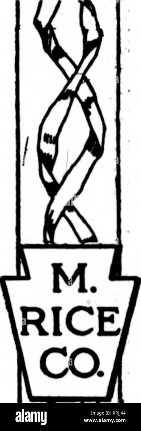. Florists' review [microform]. Floriculture. THERE IS NO REASON WHY YOU SHOULDN'T K^OW ALL ABOUT The^ &quot; Keystone Quality&quot; Line y)f Florists' Supplies ?  . ? - . • . &quot;The BEST&quot; Line ever assembled for Florists' use. OUR NEW &quot;WILLING HELPER&quot; CATALOGUE Is almost ready for distribution Send us a postal and you'll receive it fresh from the printing presses—the most attractive, complete catalogue you've ever seen. MAILED FREE ON REQUEST. RICE CO.. EXCLUSIVE MAKERS OF &quot;KEYSTONE QUAUTY&quot; FLORISTS' SUPPLIES. 1220-22-24 Spring Garden Street, PHILADELPHIA, PA. iRI Stock Photo