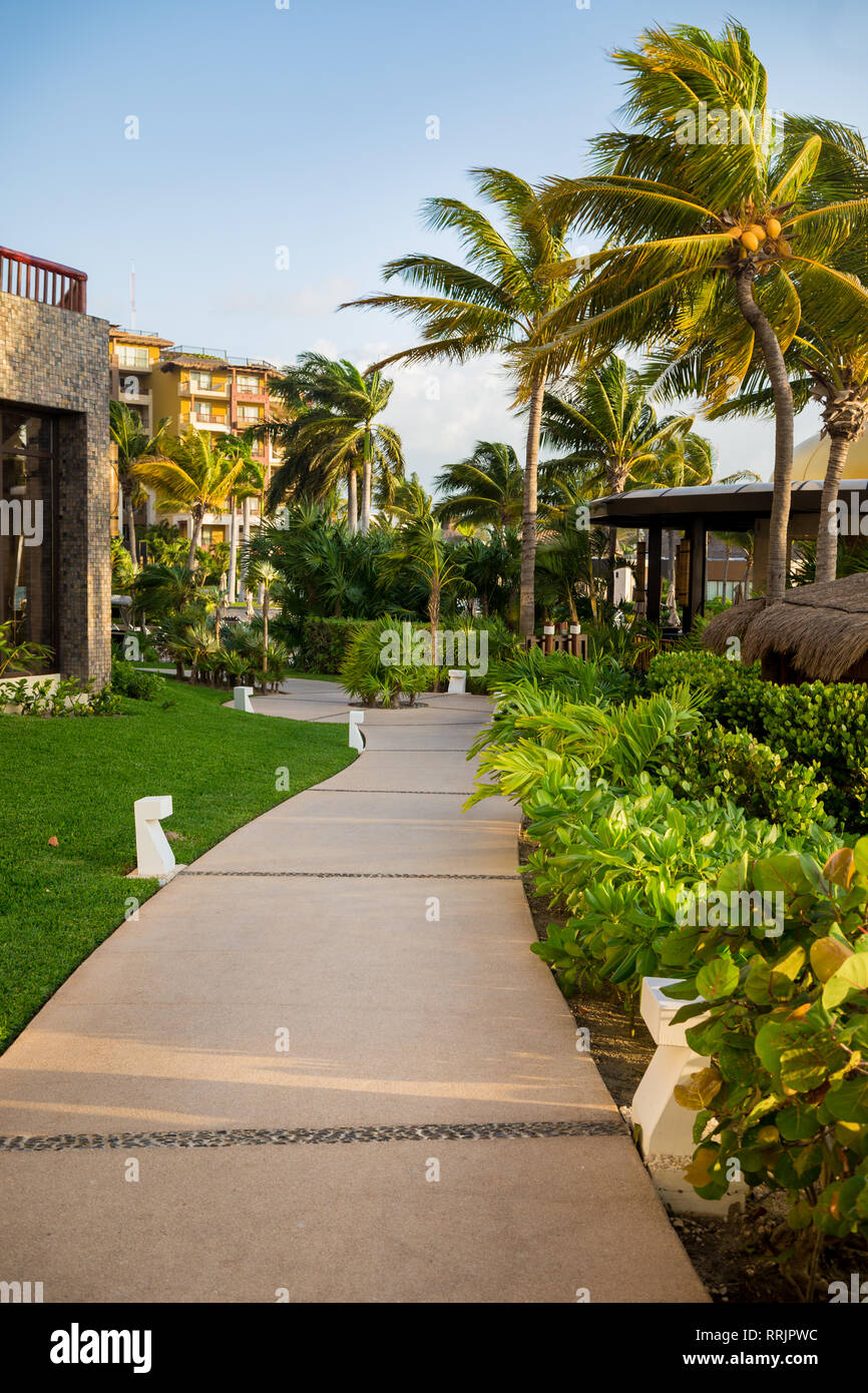 A walking path with garden and palm trees at a high end Mexican resort near Cancun. Stock Photo