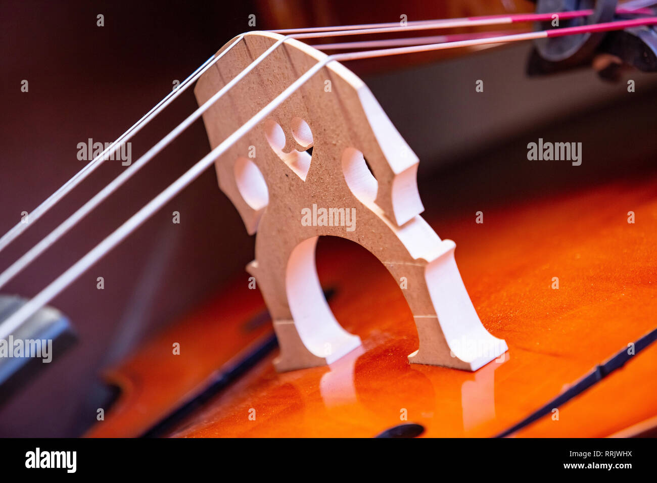 Bridge of a cello. Close up image of a cello's bridge made from wood. Stock Photo