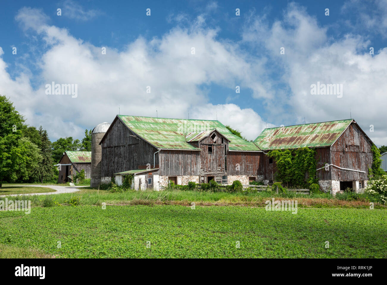 Barns on farm, Warminster, Ontario, Canada Stock Photo