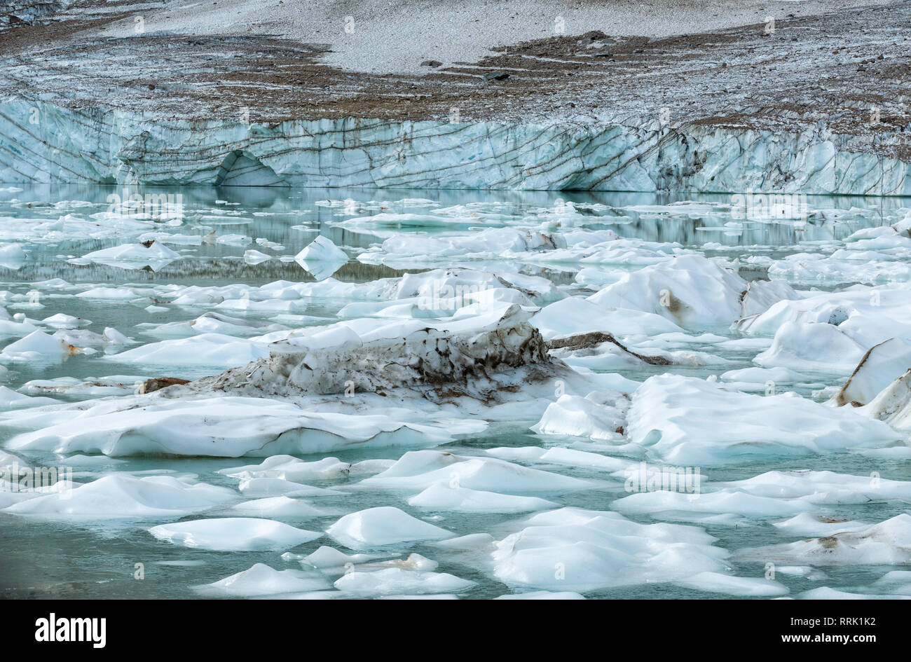Floating ice calved from Cavell Glacier, at base of glacier, Jasper National Park, Alberta, Canada Stock Photo