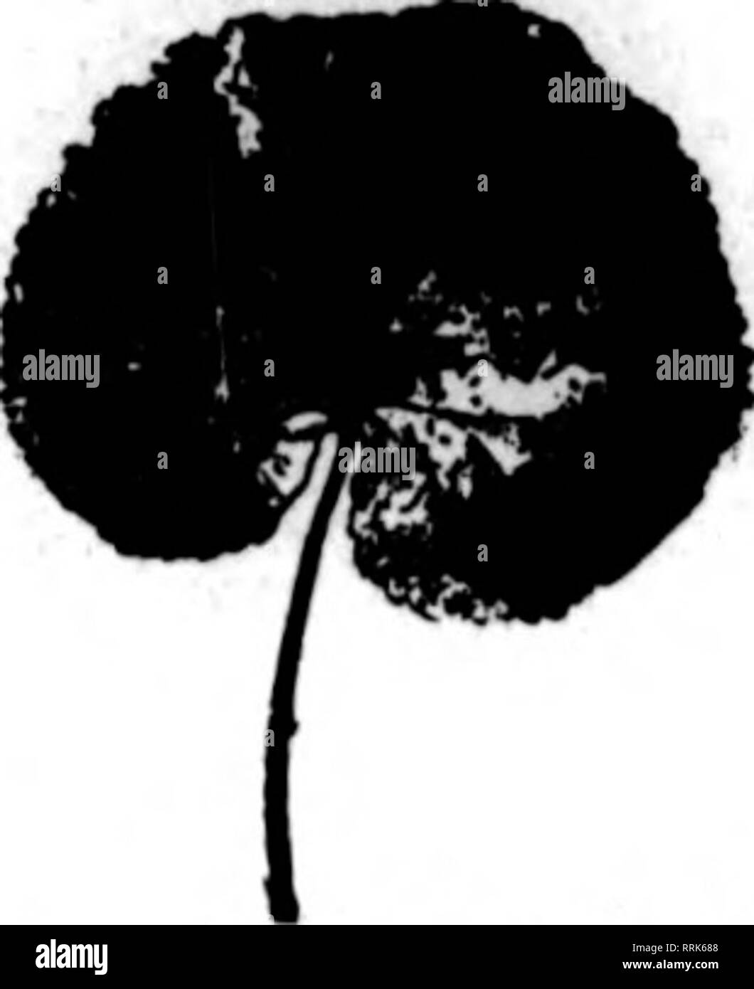 Florists Review Microform Floriculture J H Von Canon