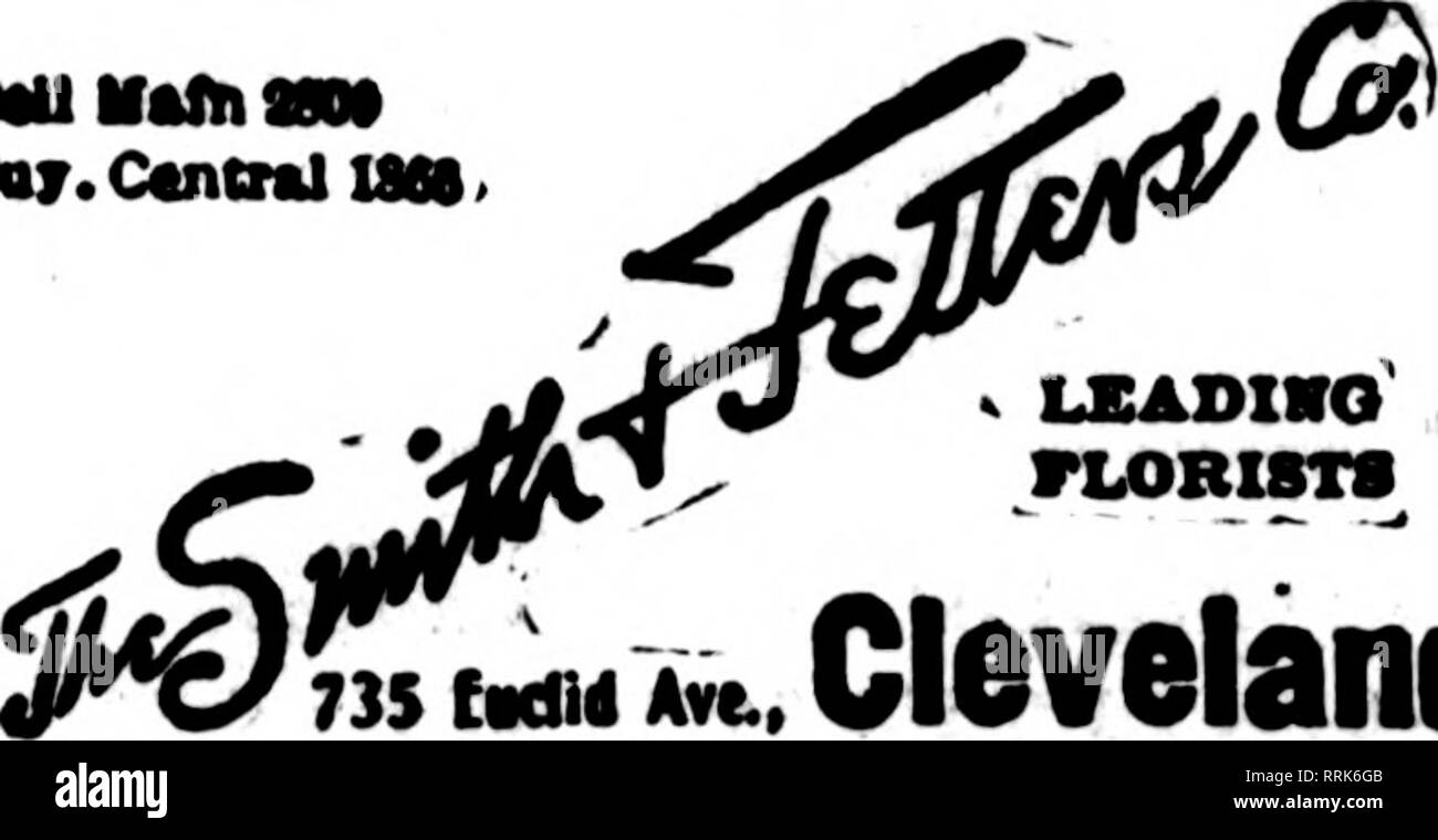 . Florists' review [microform]. Floriculture. CINCINNATI 532-534 Race St. E. G. HILL FLORAL CO. Good Stock and Good Service Member F. T. D. Phones Main 1874-1875 EDWARD A. rORTER, Fbrist Successor to A. Sunderbruch's Sons 128 W. Fourth St., Cincinnati, 0# SCHRAMM BROS. Send us your orders for TOLEDO, OHIO 1307-15 CHERRY STTREBT Members Florists' Telegraph Delivery MSMBCRS FLORISTS' TELEttRAPN DELIVERY TOLEDO, OHIO MBTZ A BATBlIAIf ?' ^ 414 Madison AvwfM ' OHIO BUILDING Eggert N. Zetutz The Leading Florist 209 West Market Street, ; . LIMA, OHIO Nstional Florist Representative Rotary Florist Mem Stock Photo