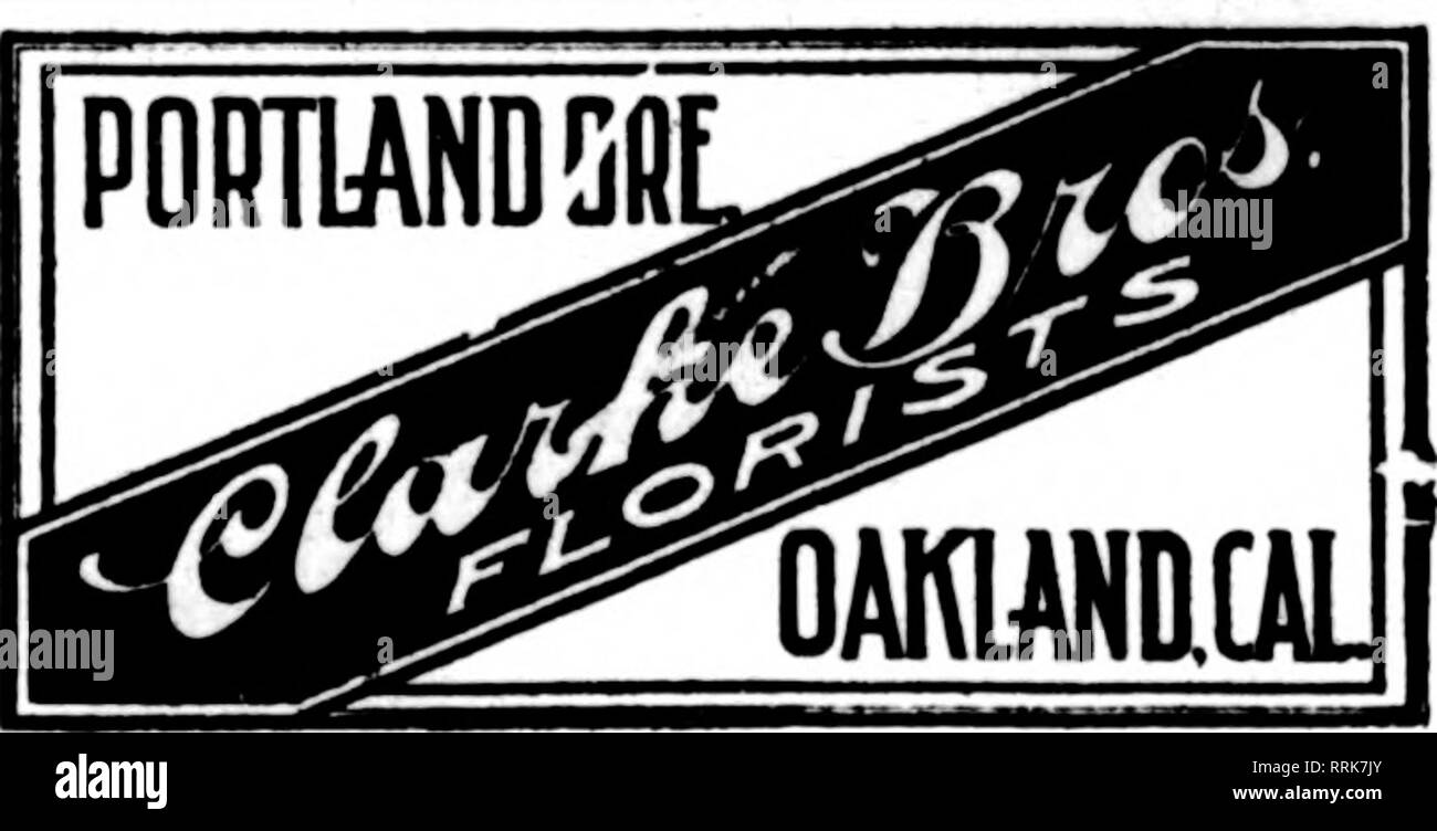 St eugenes hires stock photography and images Alamy