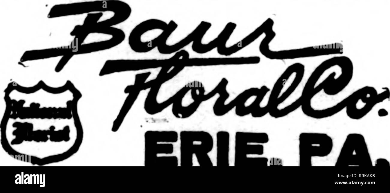 . Florists' review [microform]. Floriculture. ?1 Sem&quot; Member F. T. D. The largest popular priced house in Philadelphia. F. M. ROSS Send orders to 136 So. 52nd Street, Philadelphia other Stores 13 So. 60th St., 212 E. Girard Av. PHILADELPHIA Florists not members of the F. T. D. will pleas^ ?end cash with orders. PHILADELPHIA Germantown and Chestnut Hill Orders carefully filled in first-class style and on time WILLIAM BERGER'S SONS 6S22 Germantown Ave., Philadelphia, Pa. Jo J. Hakmelf s $m$ The finest floral arrangements, flowers and plants furnished on telegraphic orders. The Bellevne- Str Stock Photo