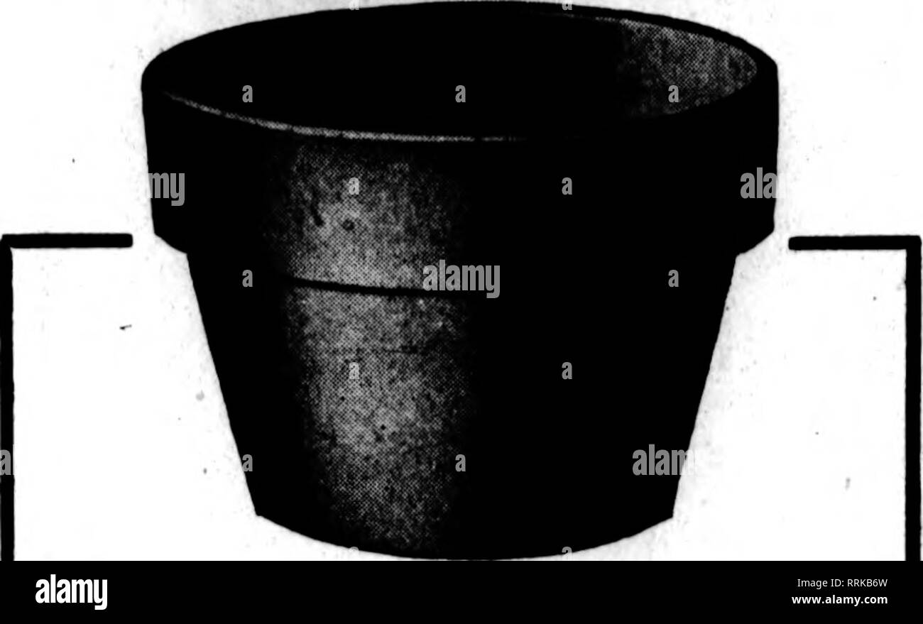 . Florists' review [microform]. Floriculture. -'?? .' *s •?*/.. ??*• »&quot;.., June 26, 1919. The Florists' Review 103. Standard Pots AZALEA POTS BULB PANS SUITABLE CLAY is the first essential in producing a satisfactory Florists' Pot. Next in importance is efficient help and modern equipment. We operate the largest stoneware potteries in the United States. Red Wine Stoneware has long been recogaized as the standard of Quality. In the manufacture of Florists' Pots we use a Hpeci&amp;l mixture—a icientific blending of clays—which produces a pot having the required p-rosity, unusual strength an Stock Photo