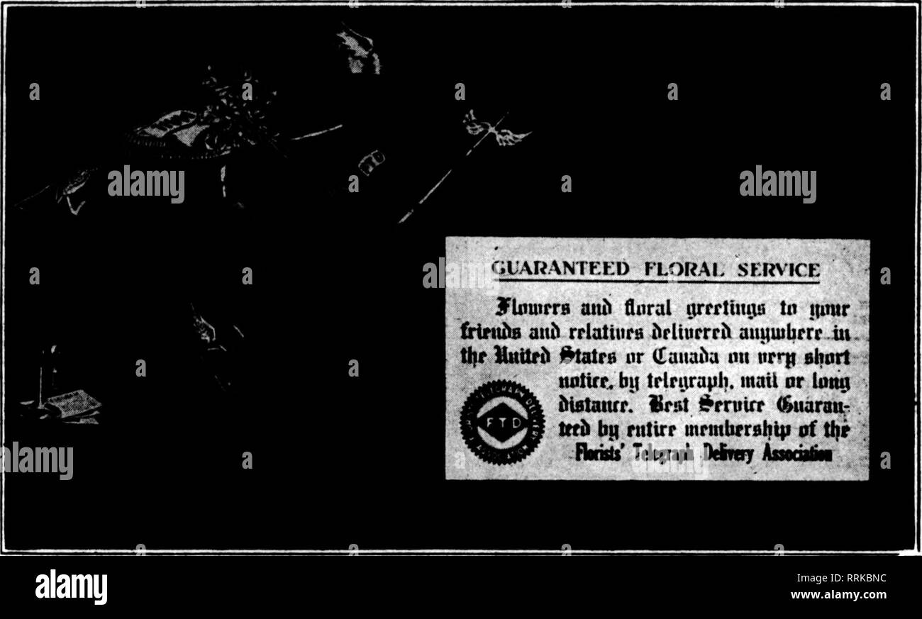 . Florists' review [microform]. Floriculture. March 29, 1917. The Florists^ Review 77 iiiiiiniiiiiiiiiiiiiiiiiiiiiiiiiiiiiiiiiiiiiiiiiiiiiiiiiiiiiiiii Flag f 425 Strong! —are you among them? BACCN, OA. Idle Hour Nurseries BAD! SON, WIS. Seiuschler Floral Co. KAIi:)EN, MASS. Wash &amp; Son, 7. Slimmer St. KANCHESTER, N. H. H. T. Mead, 1.'30 Hanover St. KANKATO, MINN. Wi^dmlUer Co. BANSFIELD, 0. Mansfield Floral Co. ICcKEESPOBT, PA. J. M, Johnson, .?..n Locust St. ICEMPHIS, TENN. Johnson's Oreenhouses. KENTOE, O. Kerkel &amp; Sons mCHIOAN CITY, IND. August Belcher, l&gt;i&gt;7 Franklin St. IIIFO Stock Photo
