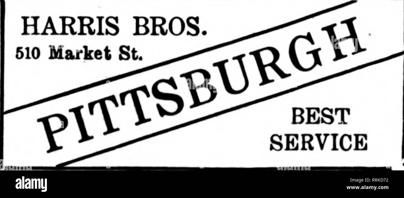 . Florists' review [microform]. Floriculture. ERIE, PA. Wilkes-Barre re^n&quot;s^CaL fennsylvaola Towns Stkiildt A. W. B. EVANS Wilkes-Barre, Pa. KT'E: IraG.Marvin,§^o'^ltSU&quot;• LANCVSTER, PA. B. F. HRR &amp; CO., [.?&gt;a.ling Flori-t, SCHULTHEIS, Florist 317 Church Street. 612 Linden Street. DUNMOKE. PA. SCRANTON. PA. Members of the Florists' Telegraph Delivery Ass'n. THINK ^ Everything in Flowers ?' GRAKELOW'S Member Florists' Teleirraph l&gt;eUvery Association Broad Street at Cumberland, PHILADELPHIA, PA, PITTSBURGH, PA. Ludwig Flora! Co. 502 FEDERAL STREET HARRIS BROS. 510 Market St.  Stock Photo