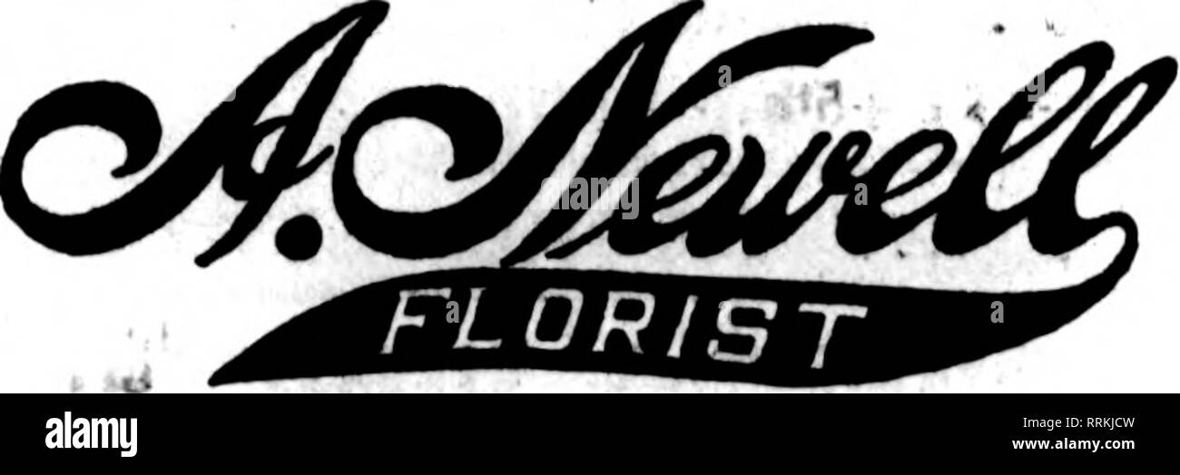 . Florists' review [microform]. Floriculture. SALT LAKE CITT ALSO PARTS OP COLORADO. IDAHO. MONTANA AND NEVADA HUDDART FLORAL CO 68 South Main Street ?emben Floristo' Telegraph DellTeir An*D, Lang Floral &amp; Nursery Co., Dallas, Tex. Write or wire headquarters for flowers for r*zsa. Oklahoma, Lioulaiana, Now Moxlea. Ma ardors too larsa, nono too mialL Orders for TEXAS SERB The Florist HOUSTON. TT3L Member Florista* Telegraph Delivery SAN ANTONIO, TEXAS Ave.Cat8thSL EDWARD GREEN, Florist Telegraph Orders a Specialty. U. J. VIRGIN 838 Canal St NEWORieAHS.U FT. WORTH, TEXAS naifrn DDAC Members  Stock Photo