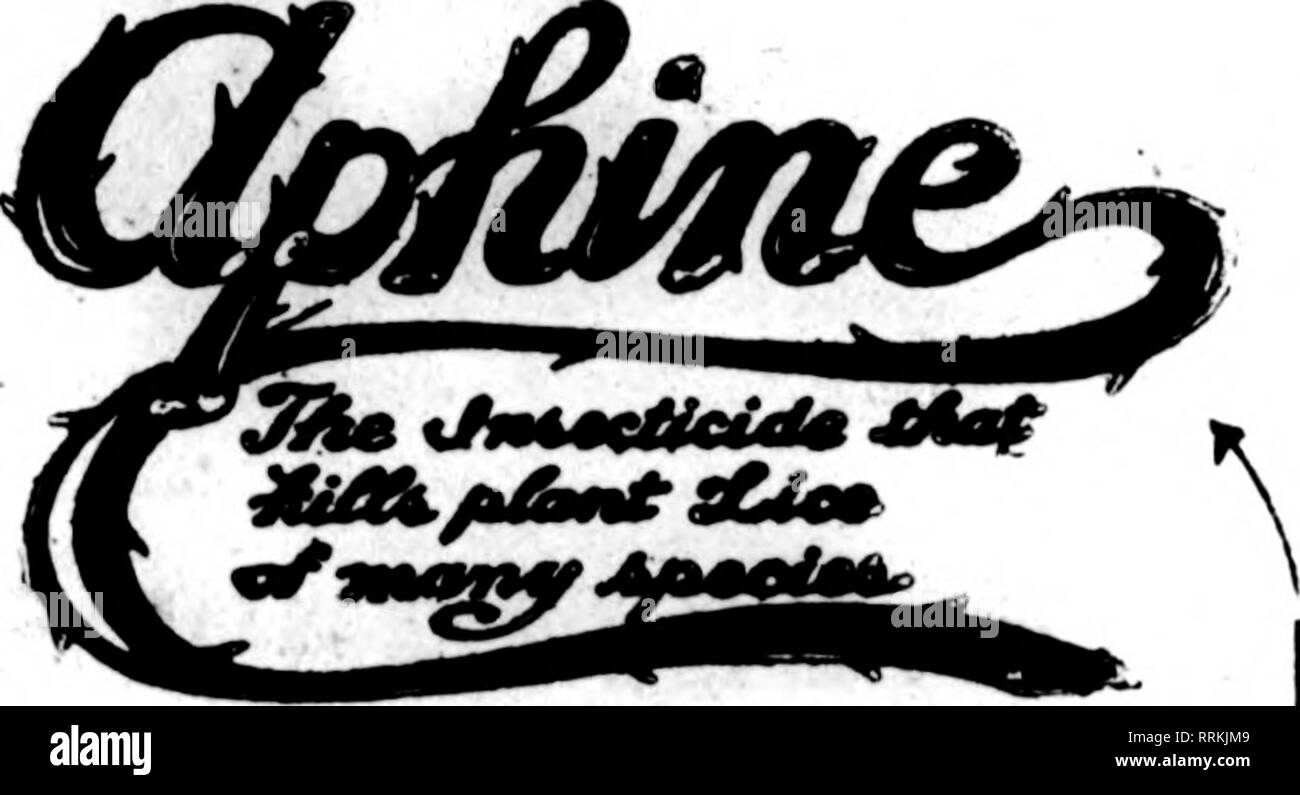 . Florists' review [microform]. Floriculture. F. W. WAITE, MiRHfactMrer. 85 Bdmoat Avmmc, SPRINGFIELD. MASS.. /? THE RECOBWZED STANDARD INSECTICIDE A spray remedy for green, black, white fly, thrips and soft scale. Quart. Sl.OO Gallon, $2.50 FUNGINE For mildew, rust and other blights affecting flowers, fruits and vegetables. Quart, Sl.OO Oallon. $3.60 VERMINE For eelwoKDS. angle worms and other worms working in the soil. Quart. $1.00 Gallon. $3.00 Sold by Dealers. APHINE MFG. CO. MADISON, N. J. •P. C. F. CO. SPRAY NOZZLE BRASS. NICKEL PLATED The mostexteusively used nozzle—Controls flow —Opera Stock Photo