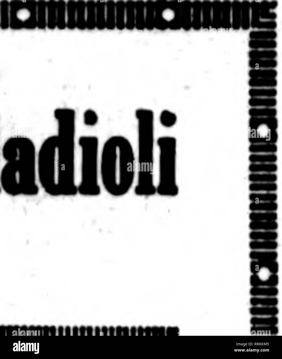 . Florists' review [microform]. Floriculture. AUSTINCOLEHAR CO.—Home of Elm HiU Ghdioli WAYLAND, OHIO miiniHUiiuiuuiiiniiiniiiinuiiniiininiiiiiuuiiaiiiuiiiininiiuininniumiiniiiiiiiiu. EVELYN KIRTLAND Note illustration; measurinit length of spike with yardstick. Place your order NOW for THE BIG 4 GRETCHEN ZANG, HERADA, BERTREX and EVELYN KIRT- LAND. Their superiority has been proven time after time in the show room. Florists are delighted with them. Read these IMPORTANT ENDORSEMENTS A. F. J. Baur, of Baur &amp; Steinkamp, Wholesale Florists and noted Carnation Breeders, well known to REVIBW rea Stock Photo