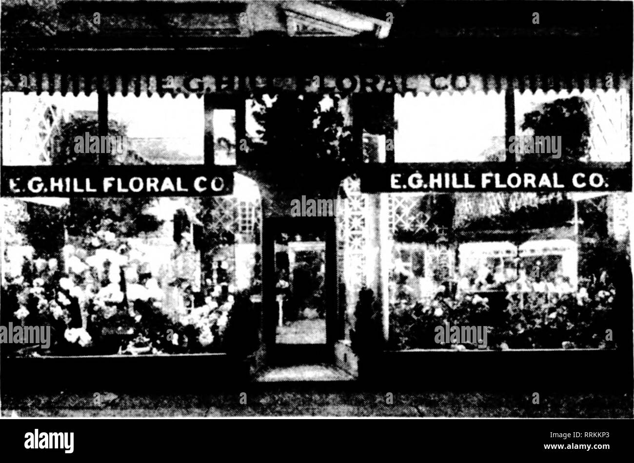 Florists Review Microform Floriculture F I A 4 T 1 M M 4 M M M M Ilimp Ie