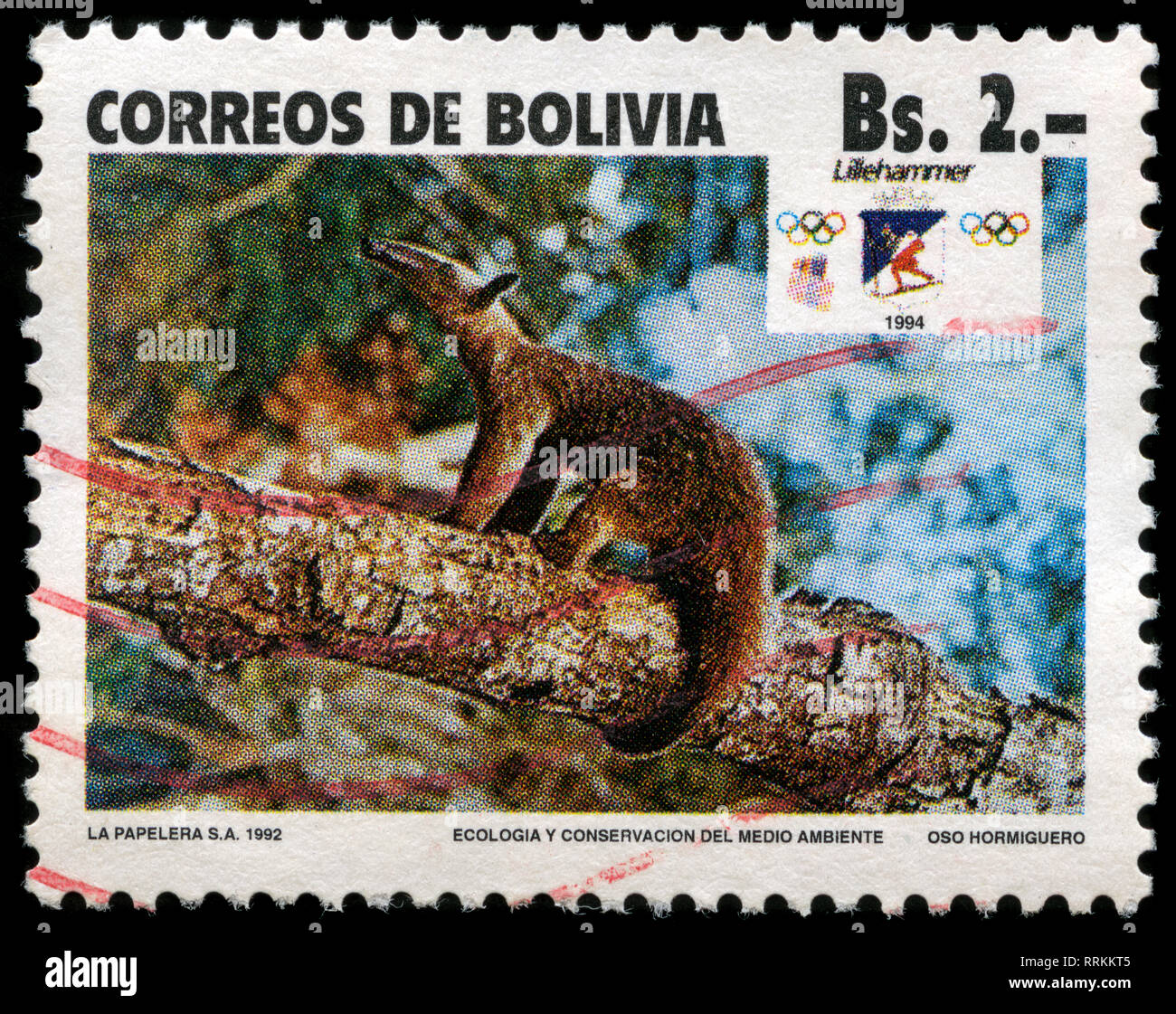 Postage stamp from Bolivia in the Ecology and the Environment: Endangered animals series issued in 1992 Stock Photo