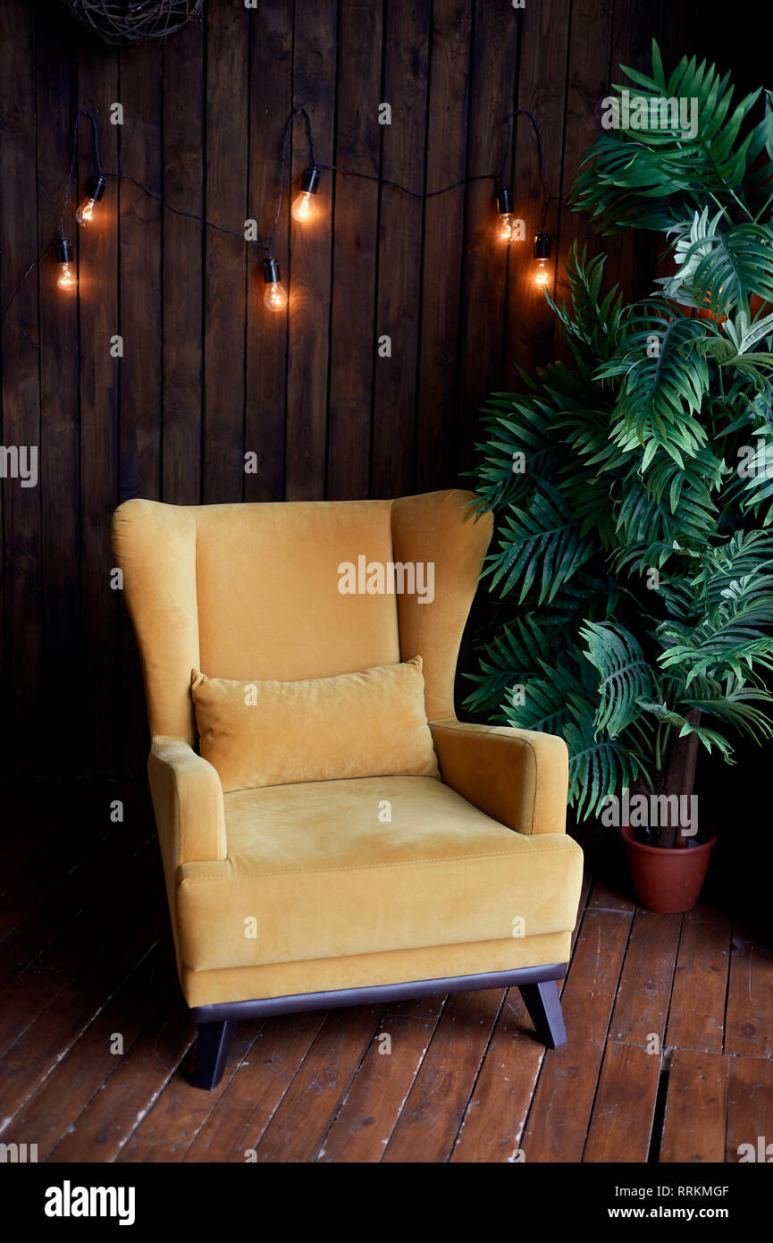 Cozy old mustardcolored armchair, palm tree and wooden walls. Interior