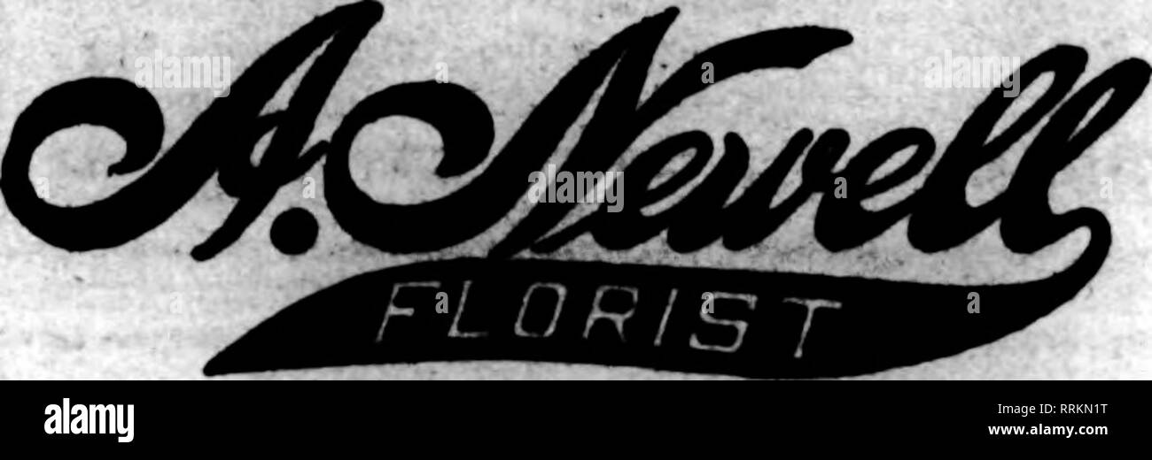 . Florists' review [microform]. Floriculture. FredC-Weber 4326-28 Olive Street. ST. LOUIS, MO. WE HAVE NO BRANCH STORE SELLING FLOWERS 46 YEARS ^ Member Florista' Telegraph Delivery Am'd ^ WIRB TOUR ORDERS TO Scniggs-Vandervooit-Baniey FLORAL DBPARTMENT v ST. LOUIS» MO. 3CHABFPBR A STEITZ. Muagen. Member F. T. D. Aaa'n. St. Louis, Mo. nwEM Kuvaa w cnr N naiE N MMi Mna F. H. WEBER TaylMr Avmmm and Oliv* SitMt Both Loiis Diituioe Phonea MMBber Floriits' Teletnph DeliTery An'a. ORDERS FOR St Louis, Ho. TOUWa'S. 1406 OUVE STUEET 8T. LOUISt MO. Wire or Phone Your Ordera to the HOUSB OP PLOWBRS Oste Stock Photo