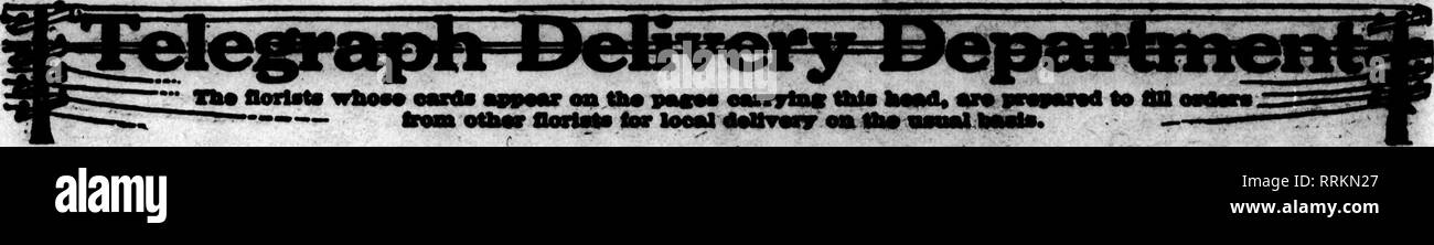 . Florists' review [microform]. Floriculture. 68 The Florists'Review Mat 29, 1»1».. FredC-Weber 4326-28 Olive Street. ST. LOUIS, MO. WE HAVE NO BRANCH STORE SELLING FLOWERS 46 YEARS ^ Member Florista' Telegraph Delivery Am'd ^ WIRB TOUR ORDERS TO Scniggs-Vandervooit-Baniey FLORAL DBPARTMENT v ST. LOUIS» MO. 3CHABFPBR A STEITZ. Muagen. Member F. T. D. Aaa'n. St. Louis, Mo. nwEM Kuvaa w cnr N naiE N MMi Mna F. H. WEBER TaylMr Avmmm and Oliv* SitMt Both Loiis Diituioe Phonea MMBber Floriits' Teletnph DeliTery An'a. ORDERS FOR St Louis, Ho. TOUWa'S. 1406 OUVE STUEET 8T. LOUISt MO. Wire or Phone Yo Stock Photo