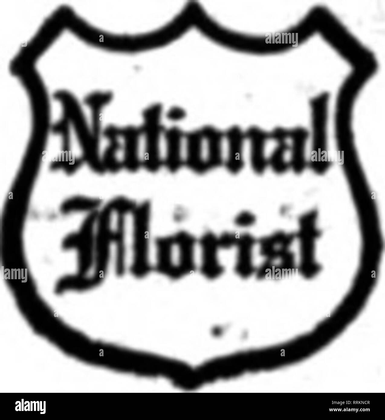 . Florists' review [microform]. Floriculture. LEADING FLORISTS ^^mc^Kiid Av«.. Cleveland CLEVELAND OHIO '-risr S5SS XDCLXD VVKMUK Member F. T. D. DAYTON, OHIO 16 and 18 W. 3rd St. Matthews the Florist EstabUshed In 1883 Greenhonses and Nurserteti In RlTerdale. TE KAY-DINOND CO. YOUNQSTOWN, O. Members Florists' Telegraph Delivery Ass'n ALWAYS HAVE COMPLETE STOCK ON HAND NEW ALBANY, IND. A. RASMUSSEN The hriett llerti cttaUubaieiit teeth ef CWcaie ^l%»'^^S0U1VBEND,dlD. For Northern Indiana I 1S8 8. MichlKan St. and South'n Michigan  Members FPl. D. VINCENNES, INDIANA PAJIl t SCHULTZ.rtarut EliT Stock Photo