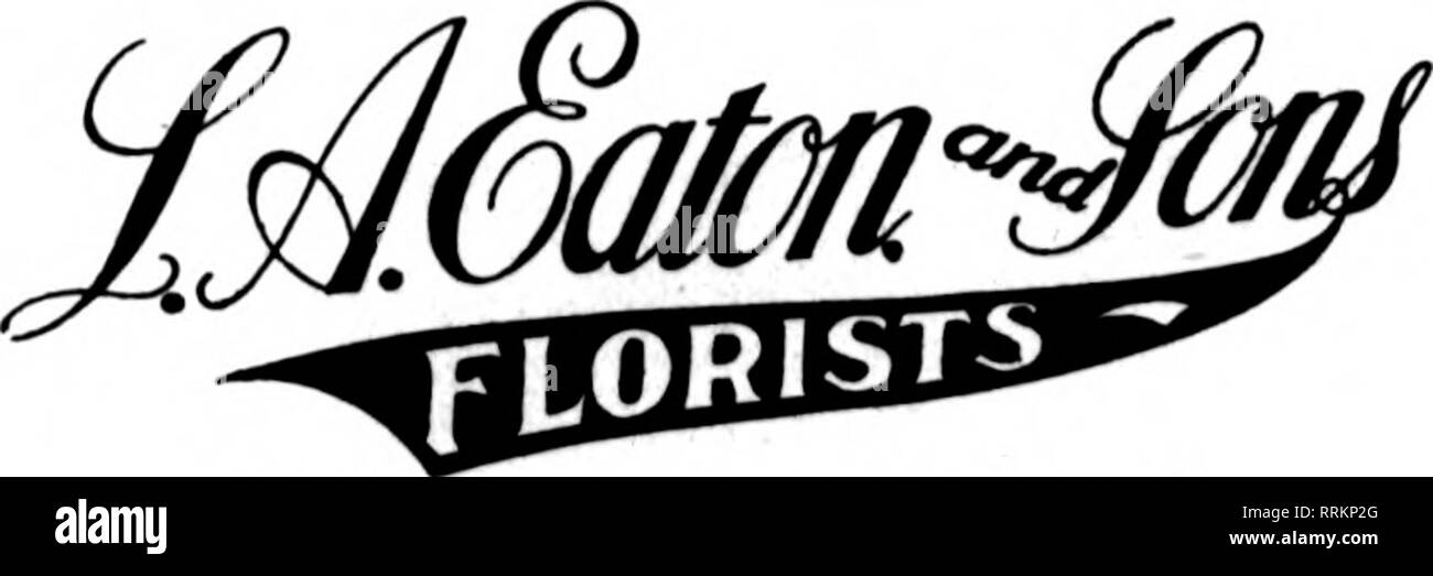 . Florists' review [microform]. Floriculture. CINCINNATI 532-534 Race St. E. G. HILL FLORAL CO. Good Stock and Good Service Member F. T. D. Phocss Main 1874-1876 EDWARD A. FORTER, Horist Successor to A. Sunderbruch's Sons 128 W. Fourth St., Cincinnati, O. CII^CINNATI JULIUS BAER. FLOWERS Mail and Telegraph Orders carefully executed 138-140 Fourth St., East SCHRAMM BROS. Send us your orders for TOLEDO, OHIO 1307-15 CHERRY STREET Members Florists' Telegraph Delivery MKMBCRS FLORISTS' TELEttRAPH DELIVERY TOLEDO, OHIO METZ A BATEMAN 414 Madison Avenue OHIO BUILDING DAYTON, OHIO 16 and 18 W. 3rd St Stock Photo