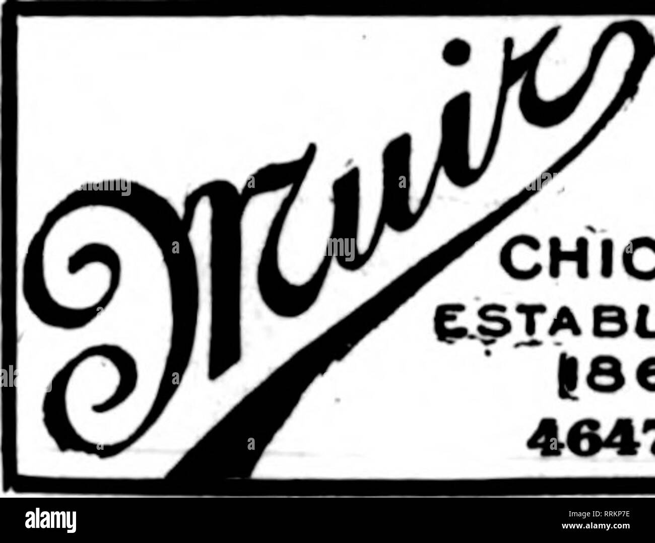 V 622 High Resolution Stock Photography And Images Alamy