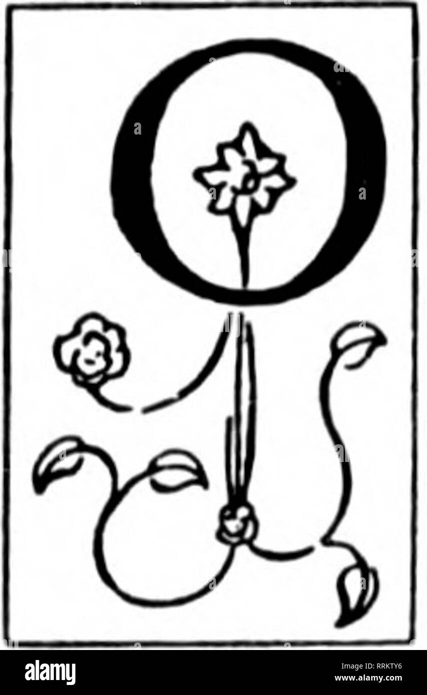 SKiN\u0026BoNE: Artistic Process: The Fenris Wolf, image size:855x1390